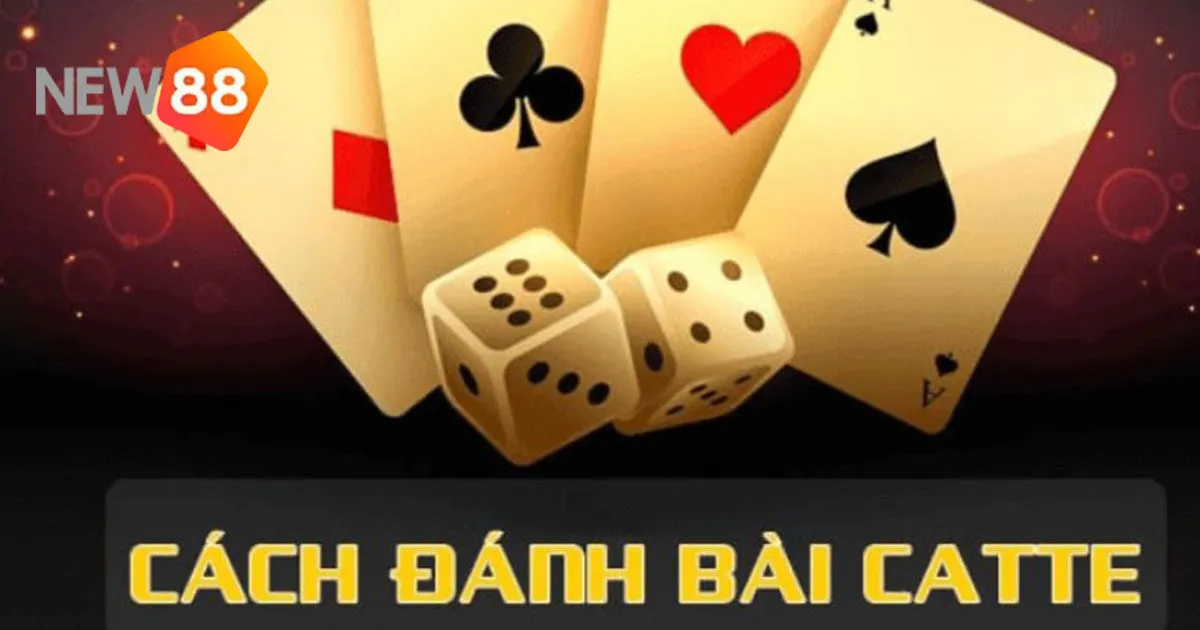 Game Bài Catte - Tổng Hợp Cách Chơi Chi Tiết Cho Newbie 4 Luật chơi Cát tê và so sánh bài