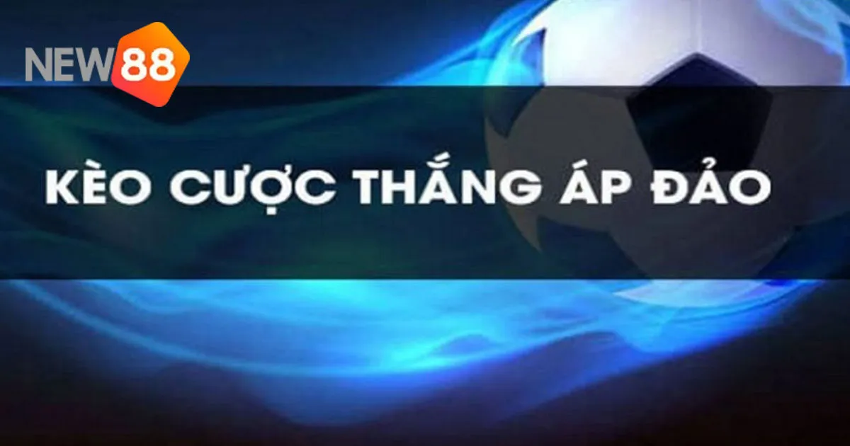 Mẹo Chơi Cược Thắng Áp Đảo Cực Hay Dành Cho Người Chơi Mới