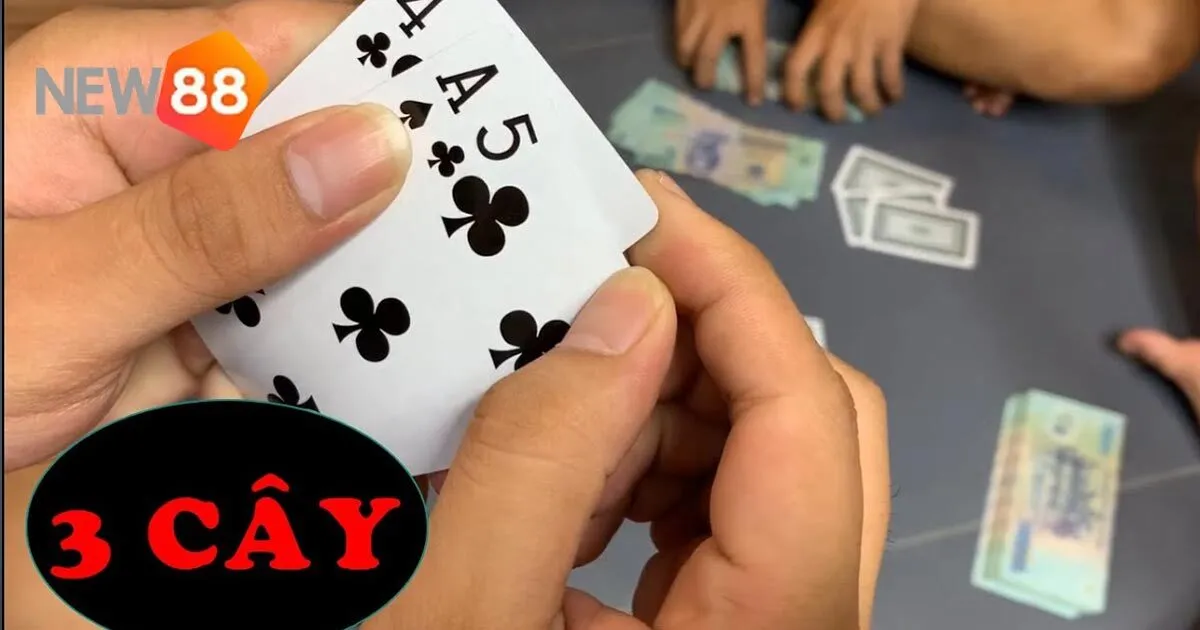 Hướng dẫn cách chơi chi tiết game bài 3 cây tại nhà cái New88
