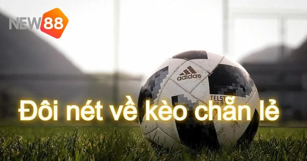 Kèo Chẵn Lẻ Là Gì - Top 3 Chiến Thuật Cược Hiệu Quả 4 Những lưu ý khi chơi kèo chẵn lẻ tại New88