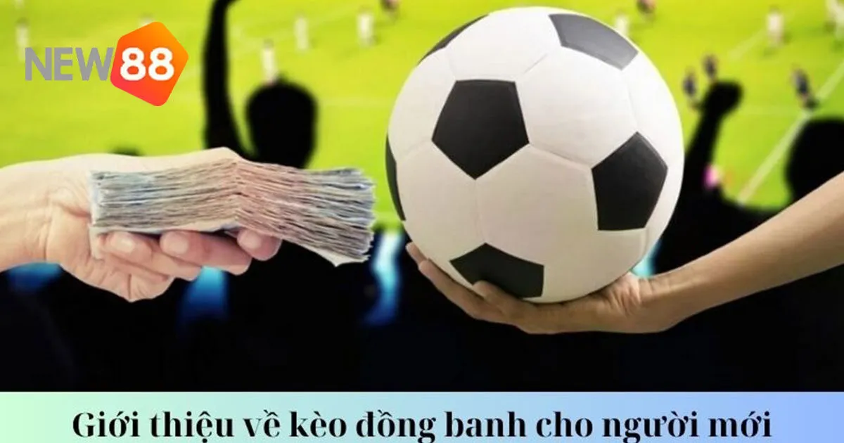 Mẹo chơi kèo đồng banh dành cho cược thủ