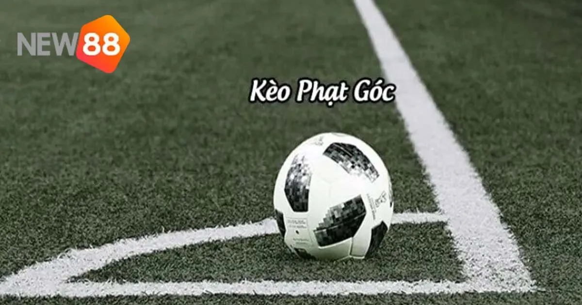 Hướng Dẫn Cược Kèo Phạt Góc Dễ Thắng Chi Tiết Từng Bước 1 Hướng Dẫn Cược Kèo Phạt Góc Dễ Thắng Chi Tiết Từng Bước