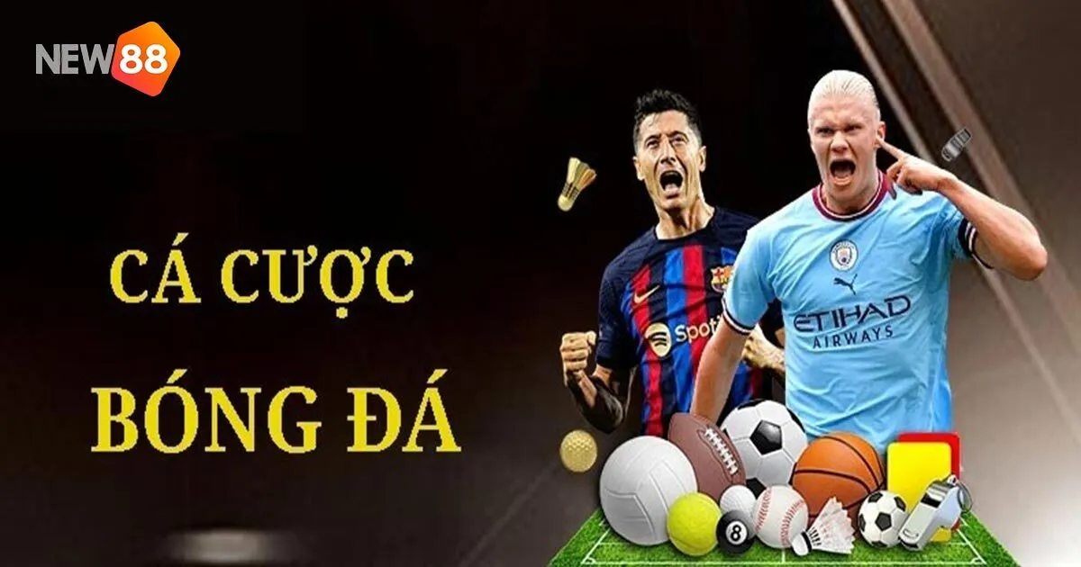 Thể Thao New88 - Nơi Thoả Mãn Đam Mê Của Cược Thủ 3 Các bộ môn thể thao đáng chú ý tại New88
