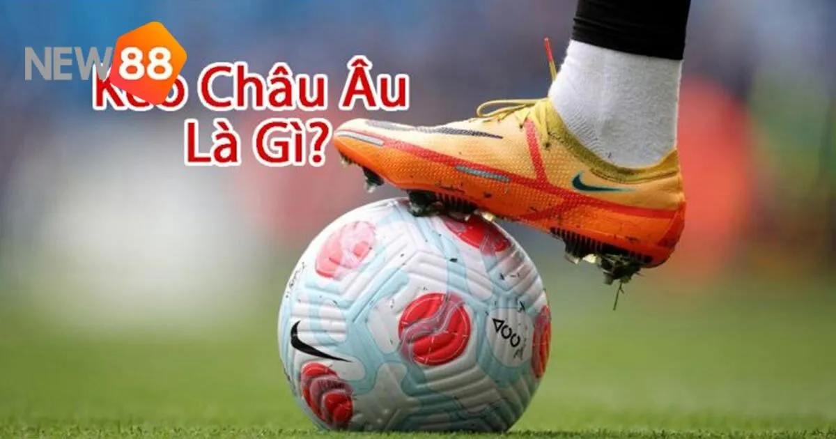 Khám Phá Kèo Châu Âu Tại New88 - Từ Cơ Bản Đến Nâng Cao 1 Khám Phá Kèo Châu Âu Tại New88 - Từ Cơ Bản Đến Nâng Cao