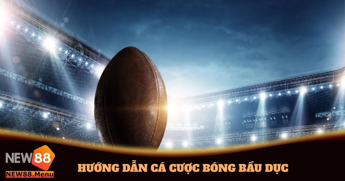 huong dan ca cuoc bong bau duc 4