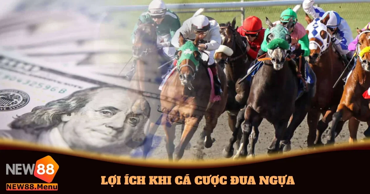 loi ich khi ca cuoc dua ngua 5