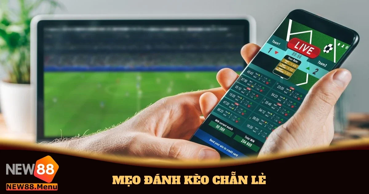 meo danh keo chan le 4